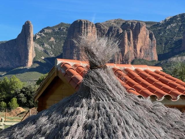 Camping Bungalows Armalygal Murillo de Gállego Exteriér fotografie