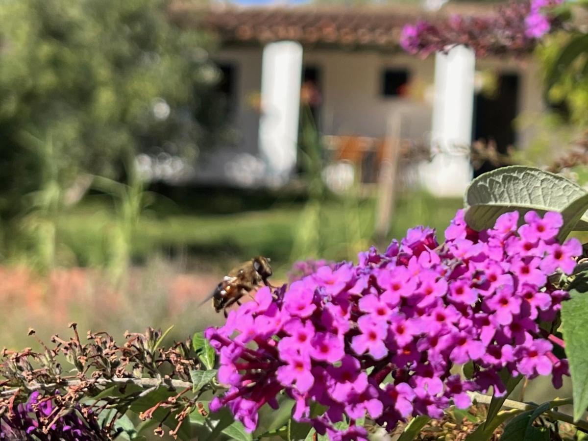 Camping Bungalows Armalygal Murillo de Gállego Exteriér fotografie